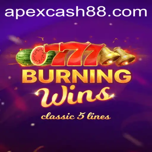 APEXCASH Casino App
