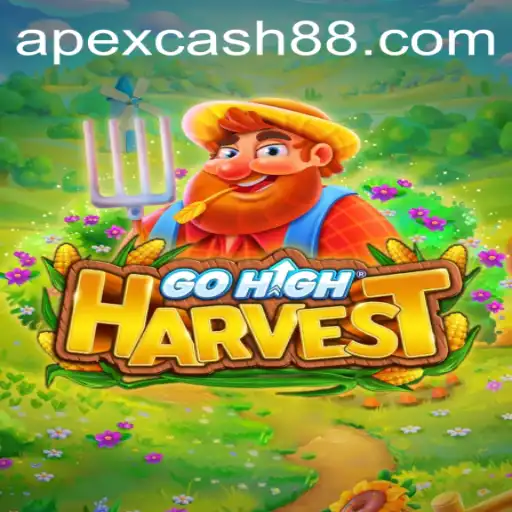 APEXCASH Sports